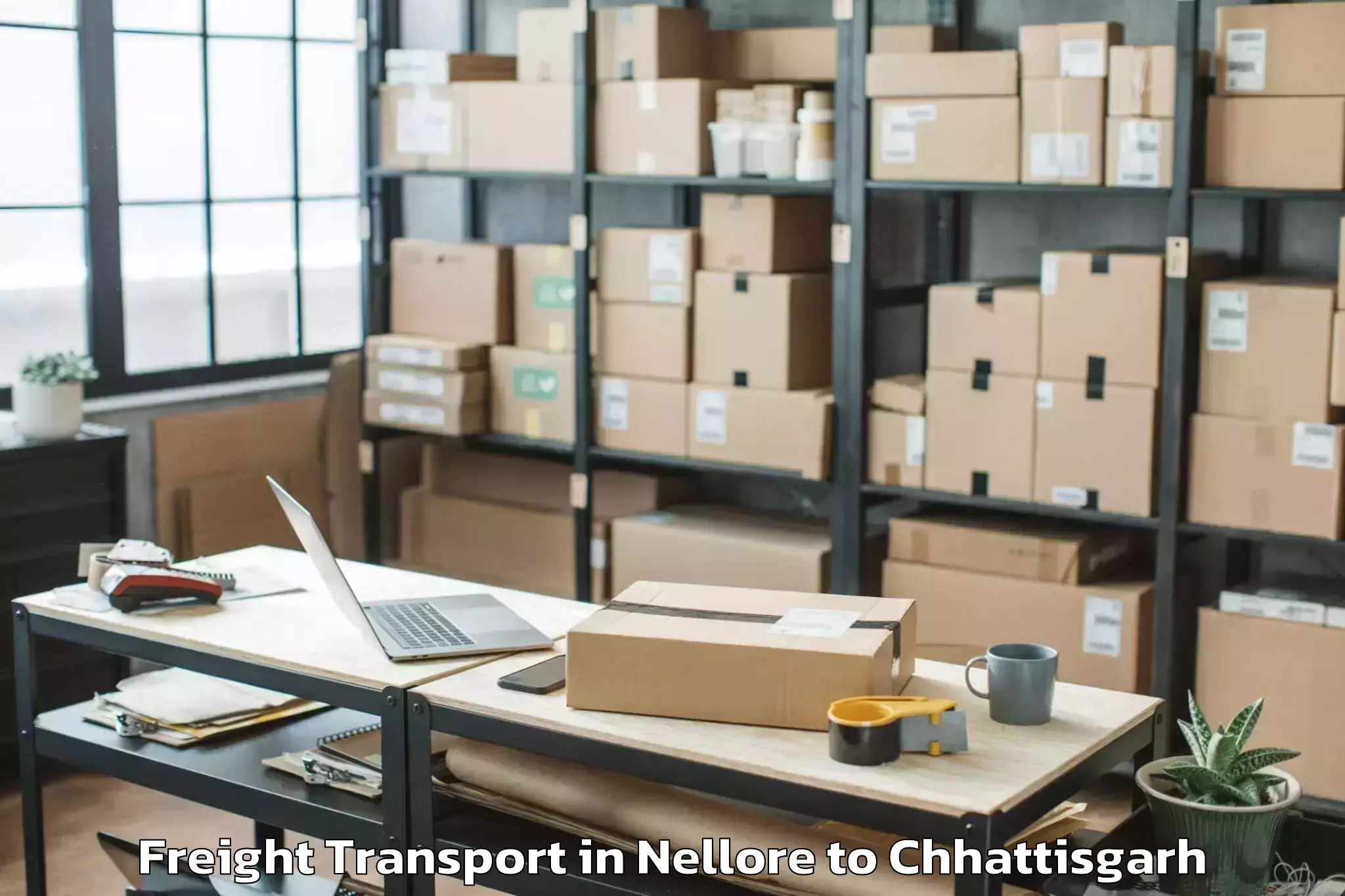 Top Nellore to Nit Raipur Freight Transport Available